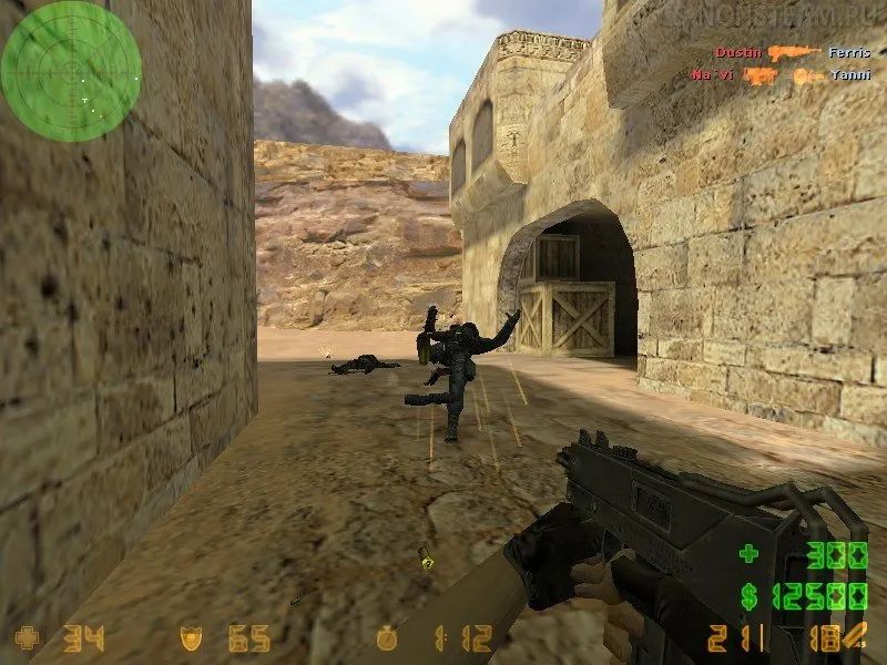 CS 1.6 NaVi Edition — Gameplay